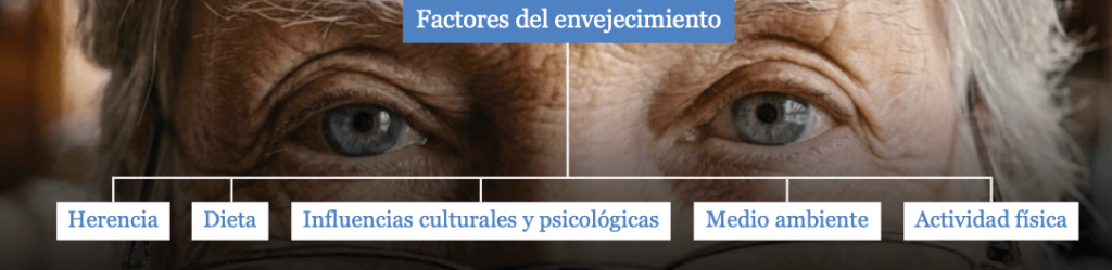 ozonoterapia